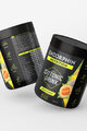 ENDORPHIN NUTRITION nápoj - ISO DRINK CANTALOUPE 500gr