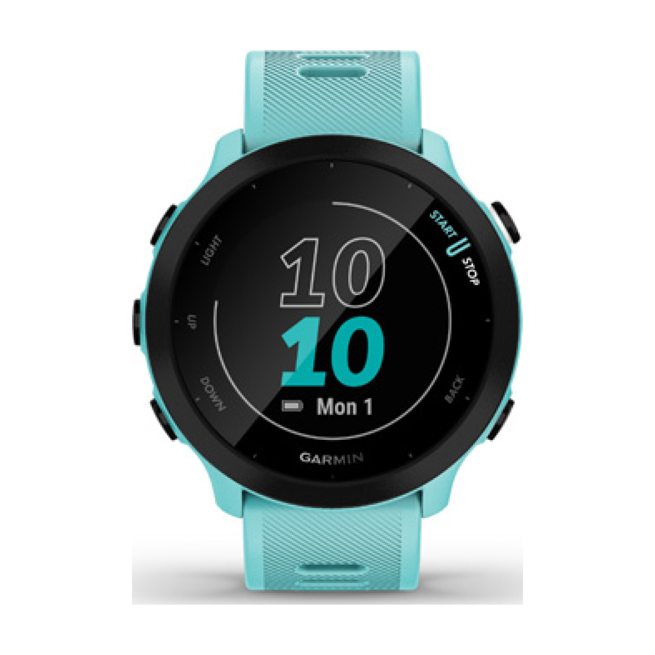 
                GARMIN smart hodinky - FORERUNNER 55 - svetlo modrá
            